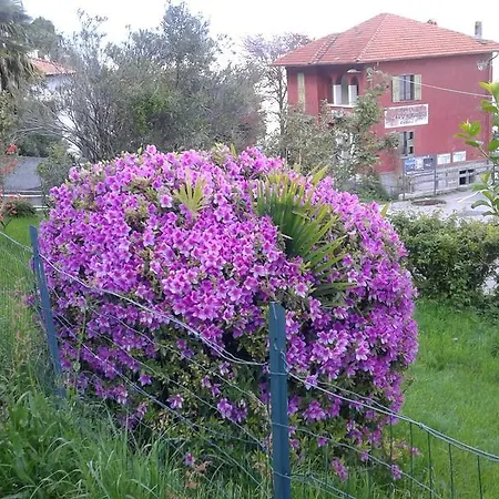 Vanni's House