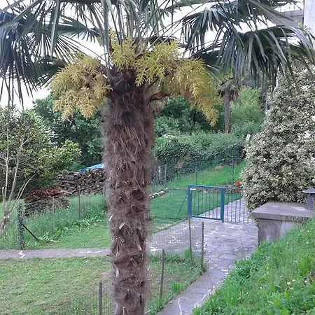 Apartment Vanni's House Cannobio