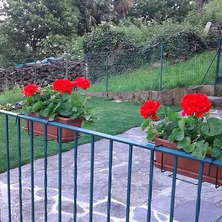 Vanni's House Апартаменты *