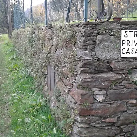 Апартаменты Vanni's House Каннобио